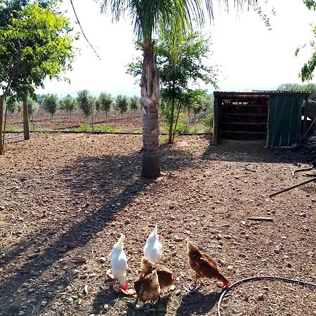 Casa Rural Finca Las Tejoneras Bornos Dış mekan fotoğraf