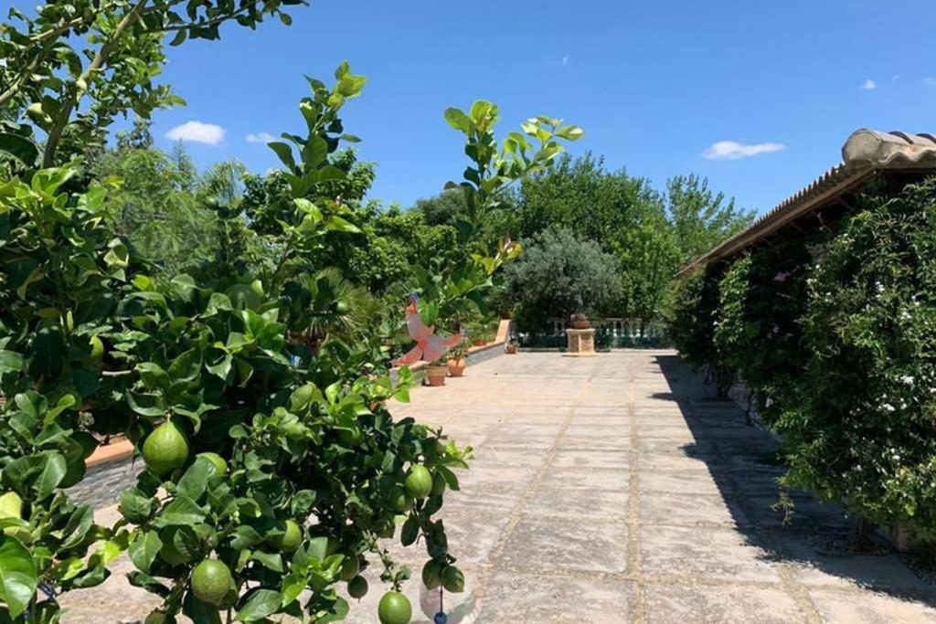 Casa Rural Finca Las Tejoneras Bornos Dış mekan fotoğraf