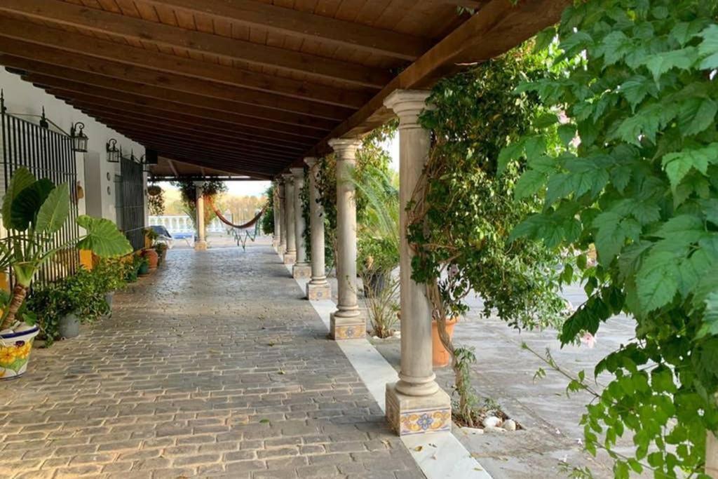 Casa Rural Finca Las Tejoneras Bornos Dış mekan fotoğraf
