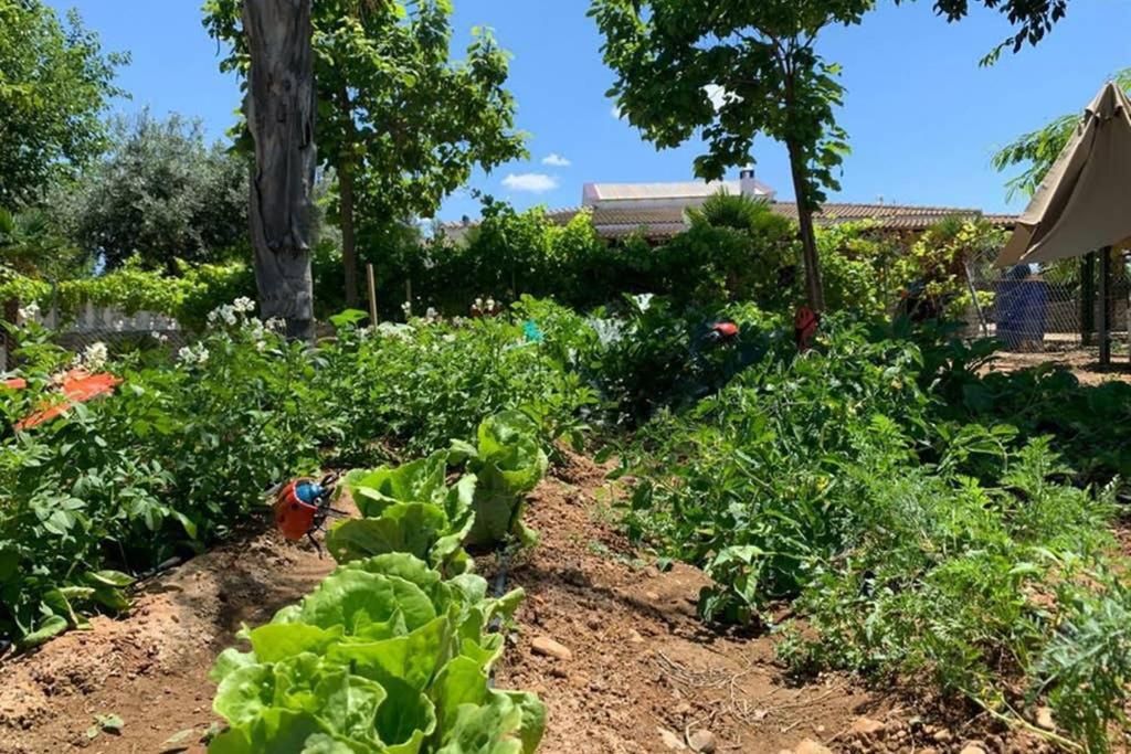 Casa Rural Finca Las Tejoneras Bornos Dış mekan fotoğraf