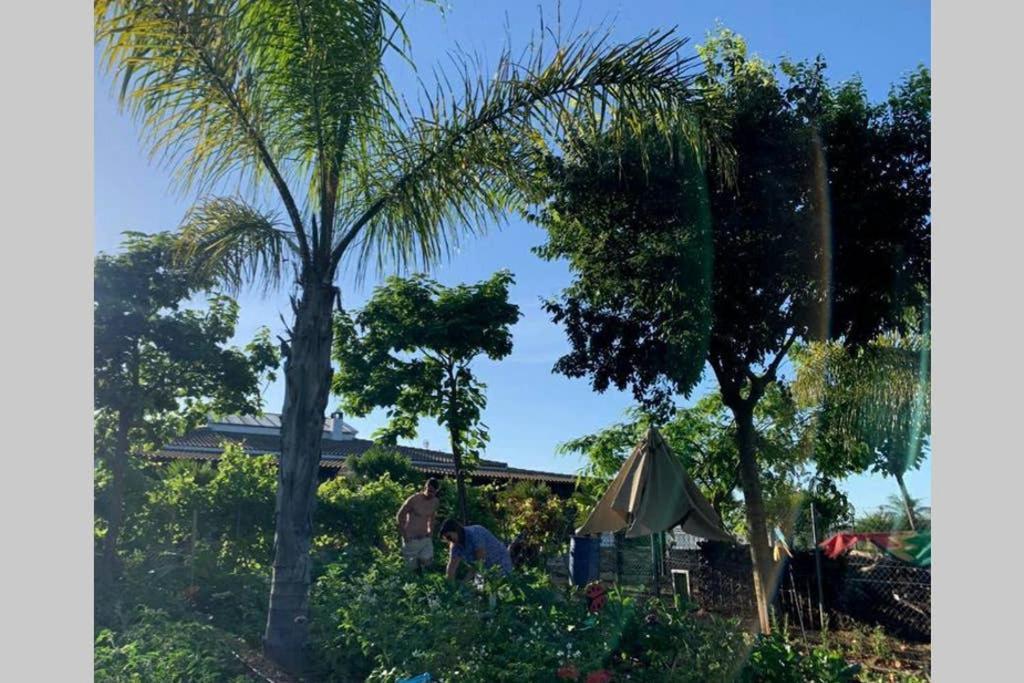 Casa Rural Finca Las Tejoneras Bornos Dış mekan fotoğraf