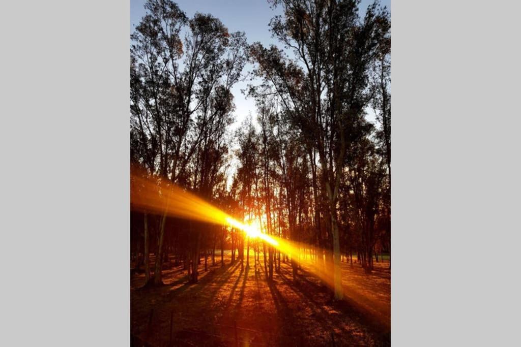 Casa Rural Finca Las Tejoneras Bornos Dış mekan fotoğraf