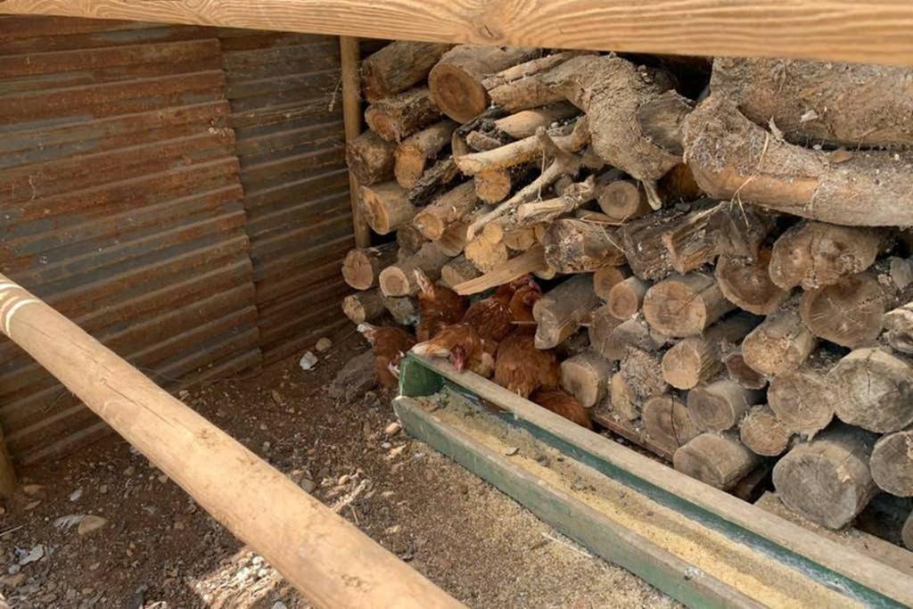 Casa Rural Finca Las Tejoneras Bornos Dış mekan fotoğraf
