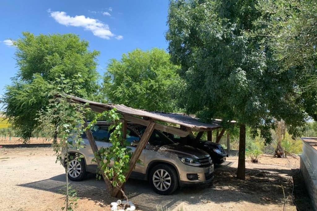 Casa Rural Finca Las Tejoneras Bornos Dış mekan fotoğraf