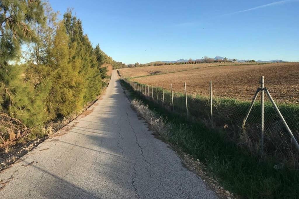 Casa Rural Finca Las Tejoneras Bornos Dış mekan fotoğraf