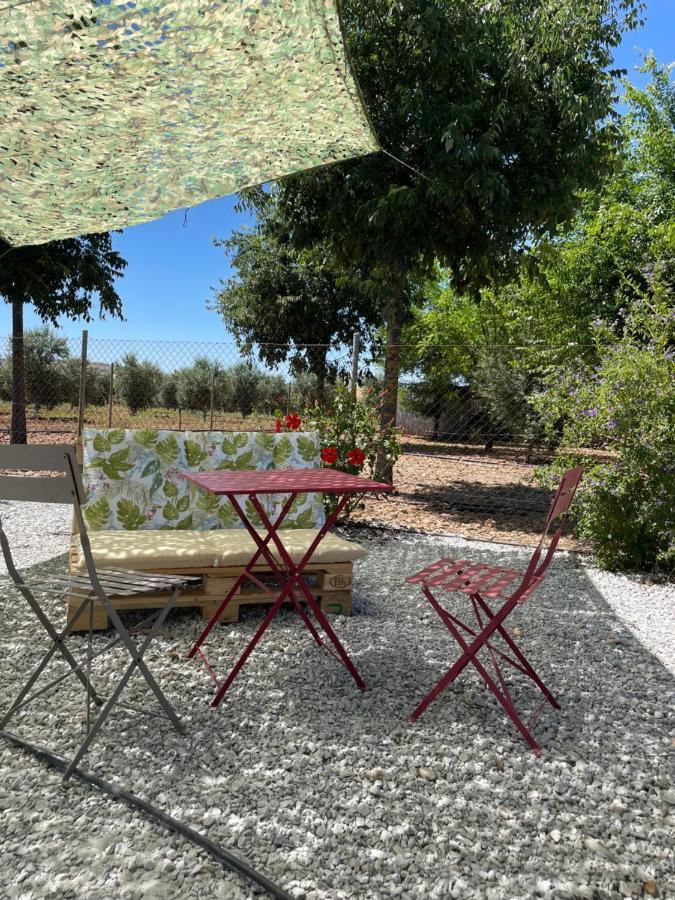 Casa Rural Finca Las Tejoneras Bornos Dış mekan fotoğraf