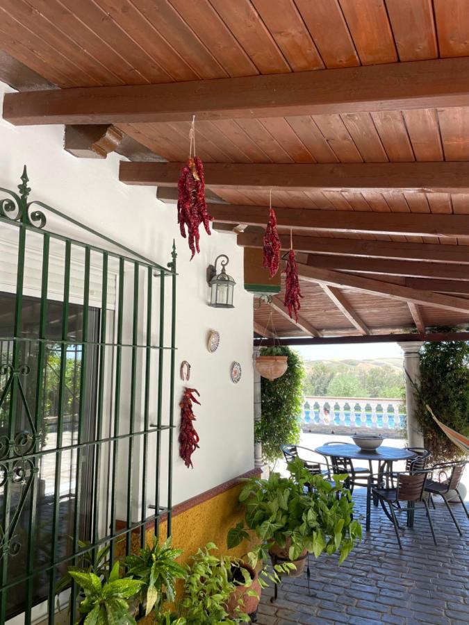 Casa Rural Finca Las Tejoneras Bornos Dış mekan fotoğraf