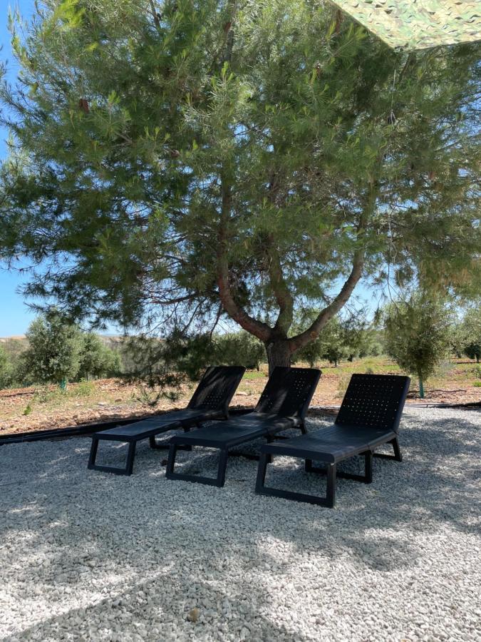 Casa Rural Finca Las Tejoneras Bornos Dış mekan fotoğraf