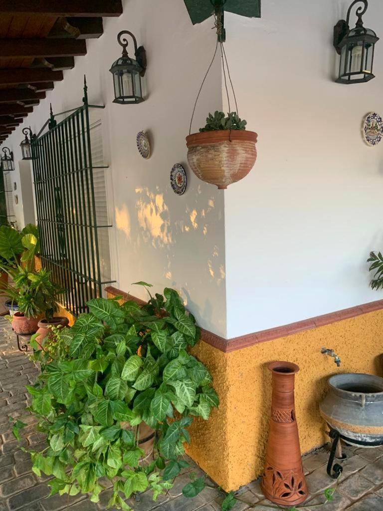 Casa Rural Finca Las Tejoneras Bornos Dış mekan fotoğraf