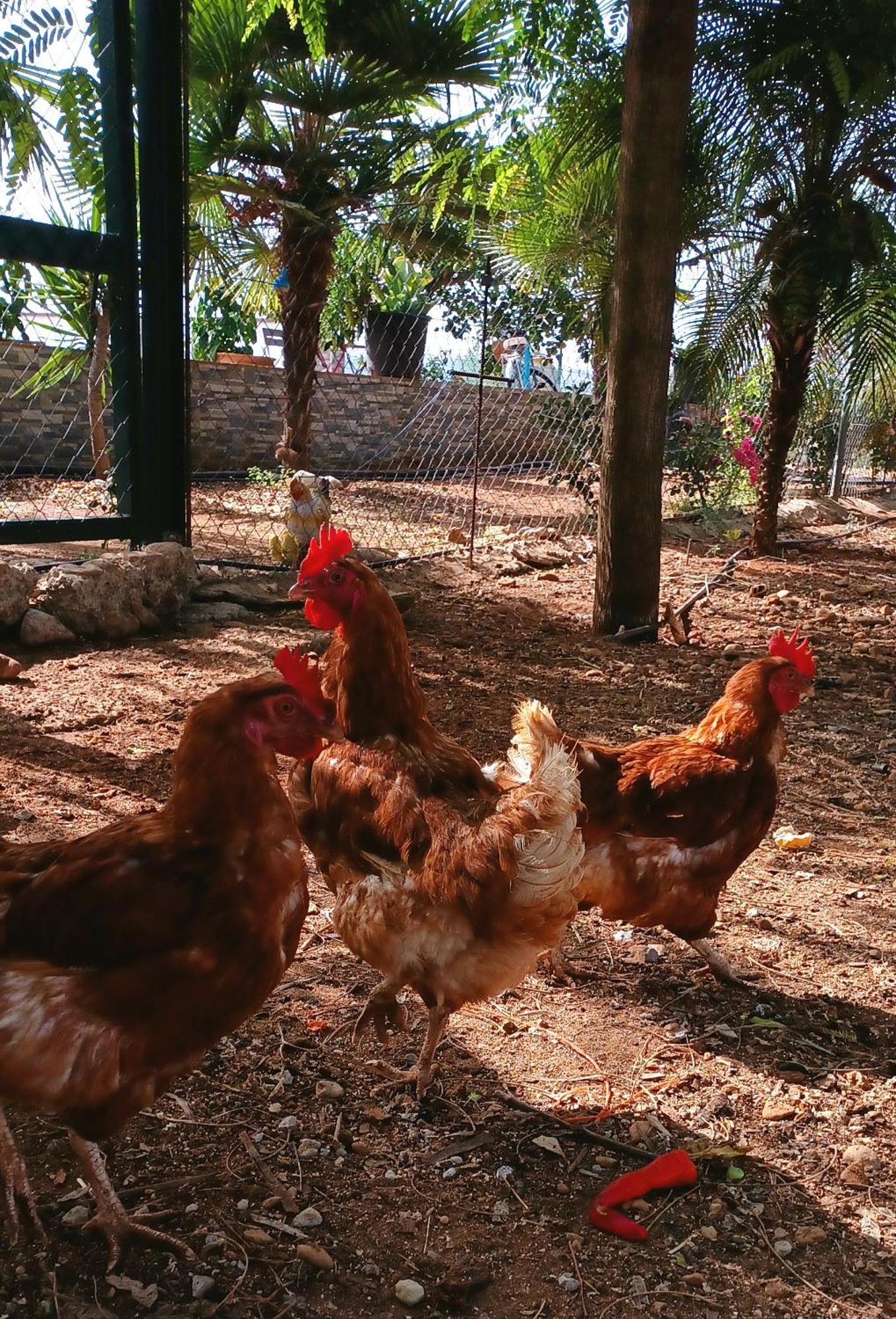 Casa Rural Finca Las Tejoneras Bornos Dış mekan fotoğraf